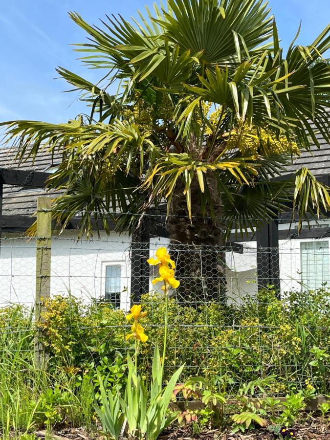 Retreat At The Knowe Auchincruive Estate Bed & Breakfast Ayr Ngoại thất bức ảnh